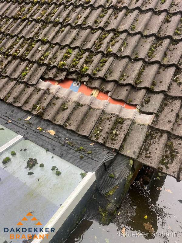 Beschadigd pannendak met ontbrekende dakpannen voor reparatie in Brabant Beschadigd pannendak met ontbrekende dakpannen voor reparatie in Brabant